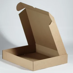 CAJA PAY 3