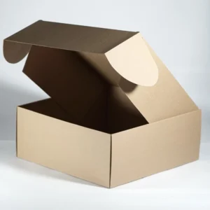 CAJA PAY 19