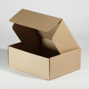 CAJA PAY 12