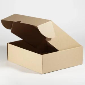 CAJA PAY 13