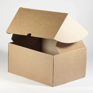 CAJA PAY 18