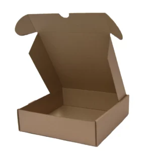 CAJA PAY 2