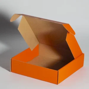 CAJA PAY 11